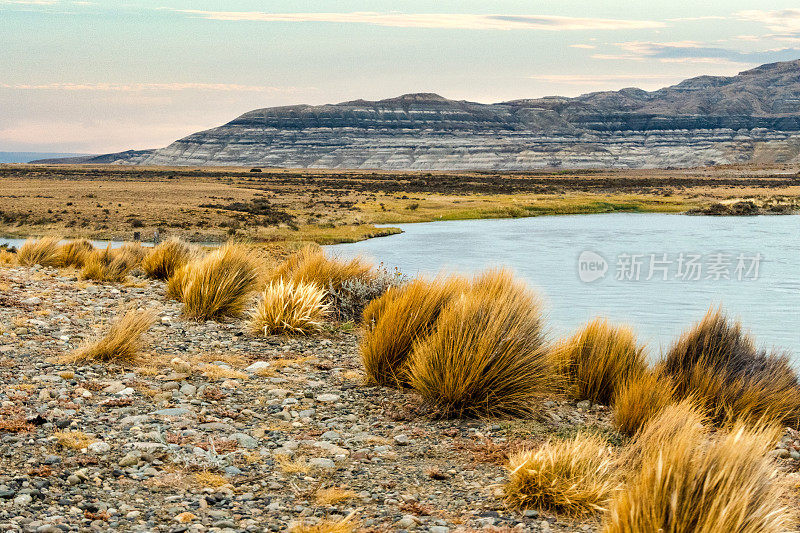 位于阿根廷湖边缘的Los Glaciares国家公园。在前景典型的草原草(羊茅)，在其他
